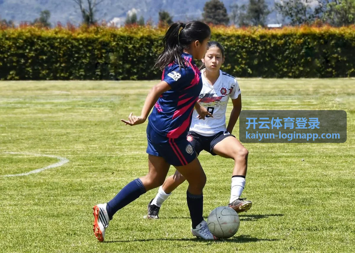 开云体育赛中实时数据